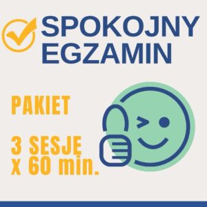 Prawo Jazdy bez Stresu: 3 x SESJA 1:1 online x 60 minut